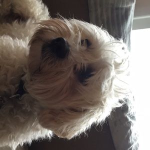 Meet your Posher, Colleen